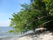 Am Stettiner Haff: Kamminke im Sdosten der Insel Usedom.