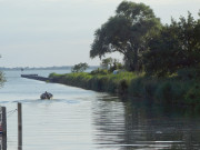 Hafen Stagnie: Hinaus auf das Achterwasser.