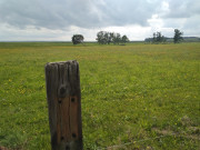 Weites Land: Wiesen am Achterwasser bei ckeritz.