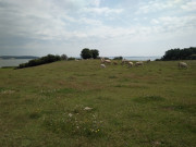 Halbinsel Loddiner Hft: Landschaft am Achterwasser.