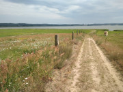 Weg herab zum Achterwasserdeich: Halbinsel Loddiner Hft.