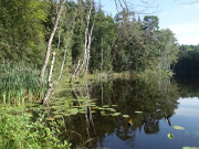 stlich der Gemeinde Korswandt: Waldsee "Schwarzes Herz".