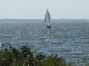 Wassersport auf Usedom: Mit dem Segelboot auf dem Achterwasser.