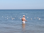 Knig der Mwen: Mit der Krone in der Ostsee.