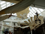 Fluggerte, Flgelformen: Otto-Lilienthal-Museum in Anklam.