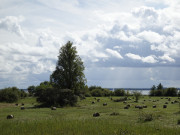 Heuballen: Landwirtschaft zwischen Achterwasser und Peenestrom.