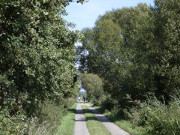 In der Natur: Mit dem Fahrrad durch das Thurbruch.