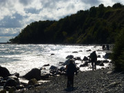 Urlaub auf Rgen: Wanderung ber den Steinstrand von Vitt.