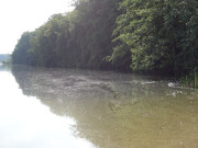 Am frhen Morgen: Der Wolgastsee am Zirowberg.