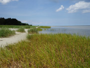 Erste Schilffrbung: Ostseekste des Peenemnder Hakens.