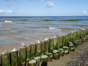 Dekorierte Buhnen: Am Ostseestrand von Usedom.