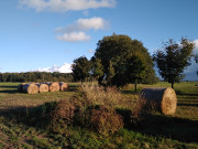 Herbstbild: Strohrollen im Wiesenland von Loddin.