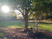 Abendsonne: Ausflug mit Maskottchen Igor.