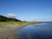 Peenemnder Haken: Strand am "Wattenmeer".