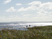 Bernsteinsucher: Ostkste des Peenemnder Hakens.