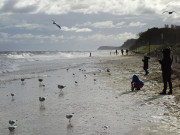 Herbstferien auf Usedom: Wind und Wellen am Meer.