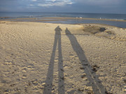 Lange Schatten: November am Ostseestrand von Bansin.