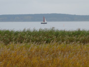 Herbstimpression: Segelboot auf dem Achterwasser.