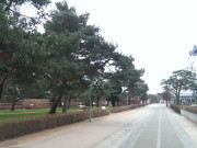 Einsam: Strandpromenade des Ostseebades Zinnowitz im November.