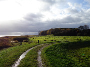 Wanderung auf dem Deich: Usedomer Halbinsel Loddiner Hft.