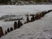 Uralte Buhnen: Niedrigwasser am Usedomer Strand.