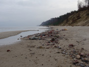 Ostseestrand: Rollkiesel und Feldsteine treten zutage.