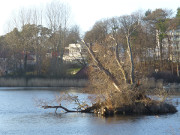 Seebad Loddin auf Usedom: Der Klpinsee.