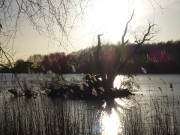 Der Klpinsee: Wintersonne ber der Inselmitte Usedoms.