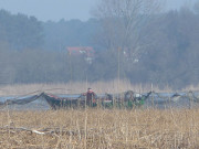 Fischerboot auf dem Achterwasser: Im Hintergrund Ltow auf dem Gnitz.