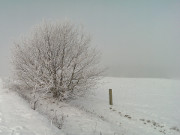 Weg auf den Hftberg: Winter auf Usedom.