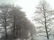 Von Loddin an die Melle: Loddiner Hft im Schnee.