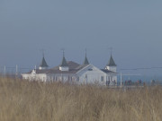 Strandhafer und Ahlbecker Seebrcke: Usedom im Winter.