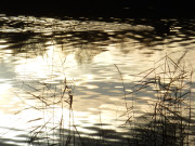 Winterimpressionen von der Insel Usedom: Der Klpinsee.