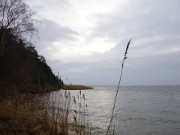 Strand am Achterwasser: Halbinsel Loddiner Hft.