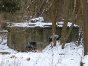 Ruine: Reste des Entwicklungswerks Peenemnde-Ost.