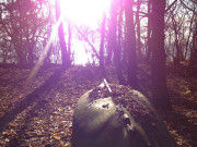 Boot im Wald: Blick auf das Stettiner Haff.