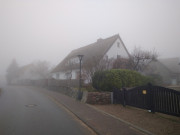 Seebad Loddin auf Usedom: Dorfstrae im Nebel.