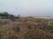 Ostseebad Bansin auf Usedom: Konzertmuschel und Seebrcke.