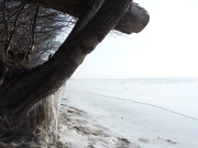 Stettiner Haff bei Kamminke: Eisiger Morgen auf Usedom.