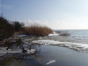 Usedomer Halbinsel Loddiner Hft: Eis auf dem Achterwasser.