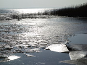 Tauwetter auf Usedom: Eisschollen auf dem Achterwasser.