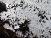 Tauwetter auf Usedom: Schmelzendes Eis und Schilfstengel.