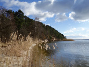 Loddiner Hft: Schmaler Sandstrand am Achterwasser.