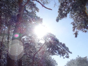 Windhauch: Schneekristalle glitzern in der Sonne.