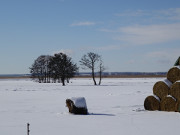 Weideland am Achterwasser: Loddin im Winter.