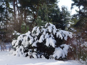 Winterimpressionen vom Seebad Loddin: Steinbock-Ferienwohnungen.