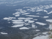 Eisschollen: Erste Flächen offenen Wassers am Loddiner Höft.