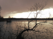 Lichtstreifen: Der Klpinsee im Seebad Loddin.