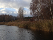 Stubbenfelde: Loddiner Ortsteil am Klpinsee.