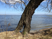 Blick herber zum Loddiner Hft: Lieper Winkel auf Usedom.